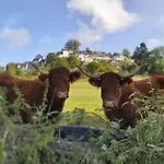 营地 Mobil-home Avec Terrasse - 4 Pers. - Api-1-52-2039 La Tour-dʼAuvergne