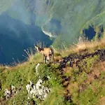 Mobil-home Avec Terrasse - 4 Pers. - Api-1-52-2039 营地 La Tour-dʼAuvergne