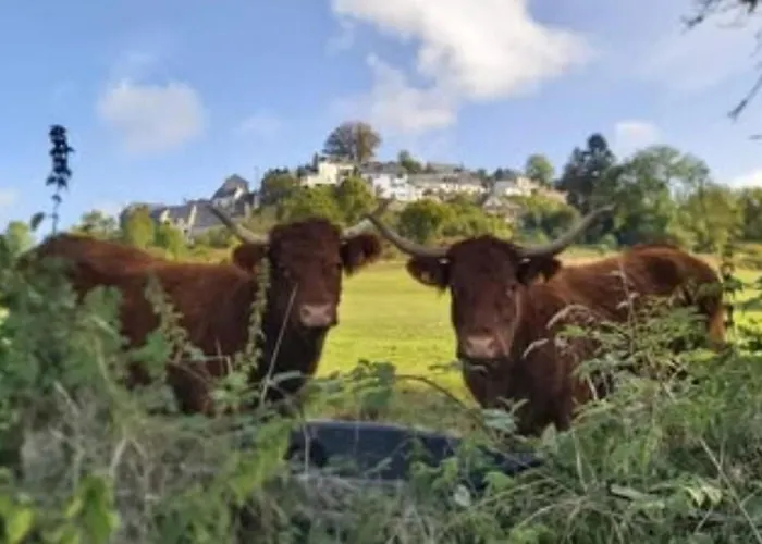 Campsite Mobil-home Avec Terrasse - 4 Pers. - Api-1-52-2039 La Tour-d'Auvergne