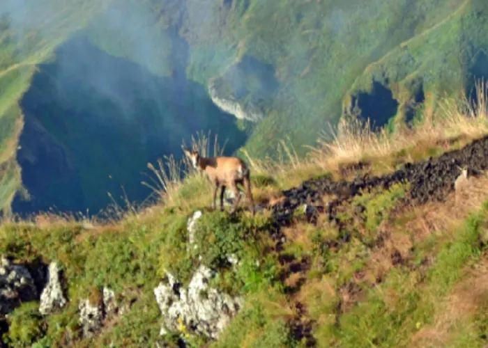 Mobil-home Avec Terrasse - 4 Pers. - Api-1-52-2039 Campsite La Tour-d'Auvergne